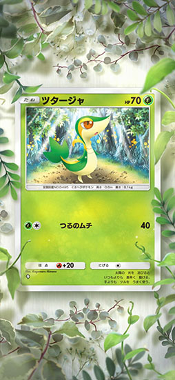 ꡼ No.017 | ֥ݥݥ׽ɲóĥѥåָΤסߥ奦exץƥexǥǥͤʤɿ68礬о