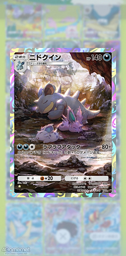 ꡼ No.005 | ֥ݥݥפǤˤΥݥ򸫤Ĥ褦Ǥ褦쥢٤ϴطʤȤߤʤڥɤʥ쥯γڤ