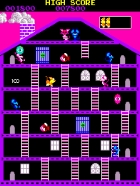 �ѥå�����