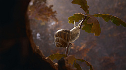 �¤����-Empire of the Ants