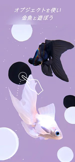 画像ギャラリー No.005のサムネイル画像 / リアルで美しい金魚を眺める癒し系アプリ「RYUKIN」,App Store,Google Playで配信中。“にゃんこ&ベビー タッチモード”も搭載