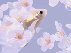 �ꥢ��������������į��������ϥ��ץ��RYUKIN�ס�App Store��Google Play���ۿ��档�Ȥˤ�󤳡��٥ӡ� ���å��⡼�ɡɤ����