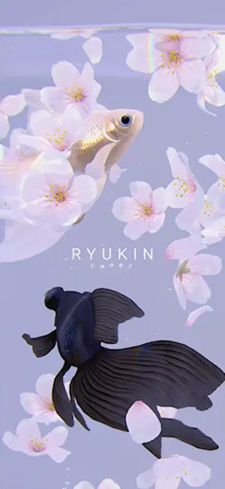 RYUKIN