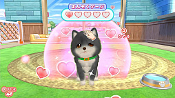 ��󤳤Ȥ����ܡ����ᤶ���ɥå��ȥ졼�ʡ���