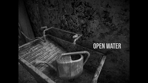 ꡼ No.003 | GDC 2024ϥΥŸۥ顼ADVHORSESפҲԵ̣14֤ˤִ̯ʽθ