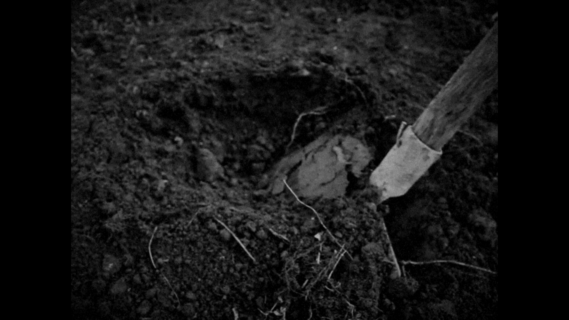 ꡼ No.003 | PC HORSES