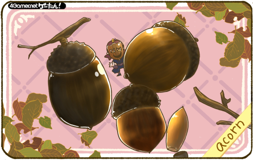 ���������꡼ No.001�Υ���ͥ������ / �������󡪡�������ñ��ϡ�acorn/�����������