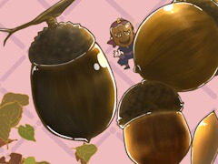 �������󡪡�������ñ��ϡ�acorn/�����������