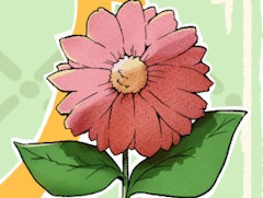 �������󡪡�������ñ��ϡ�grow/��������