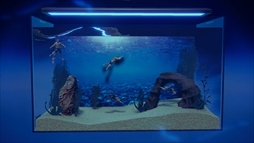 �ޥ���ꥦ�� -Muscle Aquarium Simulator-