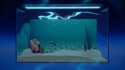 �ޥ���ꥦ�� -Muscle Aquarium Simulator-