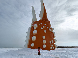 ꡼ No.008 | ᥤǡ֥ۡĥ˾äסDLǤ20󥪥դˤʤ륻»档եߡƥ󥰥ĥΥ٥ȥݡȤ