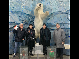 ꡼ No.009 | ᥤǡ֥ۡĥ˾äסDLǤ20󥪥դˤʤ륻»档եߡƥ󥰥ĥΥ٥ȥݡȤ