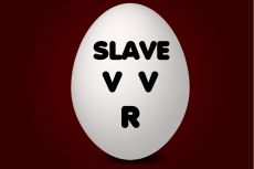 ꡼ No.006 | 13ͤξ΢ڤꡤ礦ĤõФߥƥADVˡȽס2025ǯȯͽ