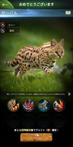 ꡼ No.014 | Υץ쥤ݡ¿¿ͤưʪ䶲ε򽾤Ϥ硪ĥĥץ쥤ڤάSLG֥󥰡֡ӡȡ