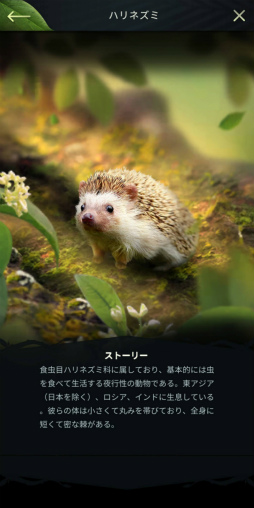 ꡼ No.027 | Υץ쥤ݡ¿¿ͤưʪ䶲ε򽾤Ϥ硪ĥĥץ쥤ڤάSLG֥󥰡֡ӡȡ