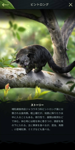 ꡼ No.028 | Υץ쥤ݡ¿¿ͤưʪ䶲ε򽾤Ϥ硪ĥĥץ쥤ڤάSLG֥󥰡֡ӡȡ