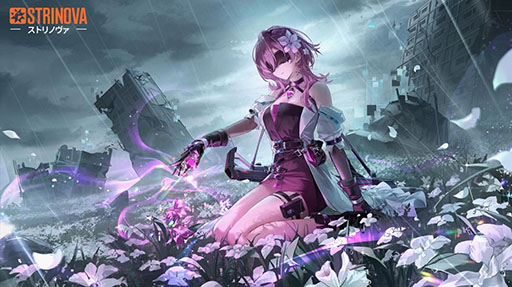 ꡼ No.007 | ץ쥤䡼Τ3D2Dڤؤ臘塼StrinovaסPCӥ򳫻