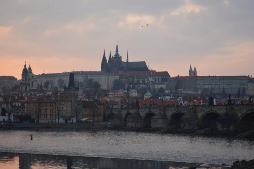 ꡼ No.001 | αꡤ׺ɤ˹Ԥäꡣǡ֥󥰥५ࡦǥХIIפäƤ