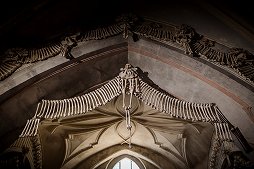 ꡼ No.030 | αꡤ׺ɤ˹Ԥäꡣǡ֥󥰥५ࡦǥХIIפäƤ