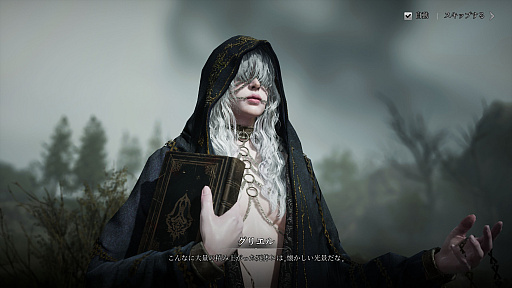 画像ギャラリー No.007のサムネイル画像 / 初心者こそ見てほしい,「レイヴン2」序盤の楽しみ方。気軽に共闘気分を味わえる「亀裂ボス」「フィールドボス」のプレイ方法も紹介【PR】