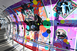 ���������꡼ No.008�Υ���ͥ������ / ������������ĥ꡼����ˡ�����ޤɤ����ޥ���������Υ��ġ��������ݡ��ȡ����饫������ϡ����ܤޤɤ��򥤥᡼�������������塼���