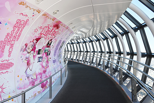 ���������꡼ No.009�Υ���ͥ������ / ������������ĥ꡼����ˡ�����ޤɤ����ޥ���������Υ��ġ��������ݡ��ȡ����饫������ϡ����ܤޤɤ��򥤥᡼�������������塼���