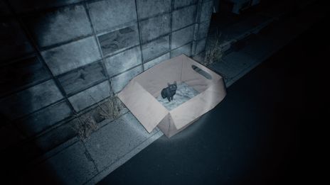 ꡼ No.003 | ۾︽ݤۤƤ˿ʤषʤ8ֽи饤ΡMayonaka 10 chome - ±ܡס629ȯ