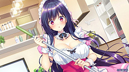 QUALIA ����«�ε��ס�