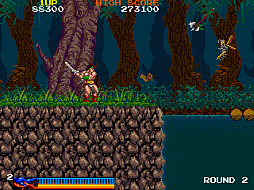 アーケードアーカイブス ラスタンサーガ