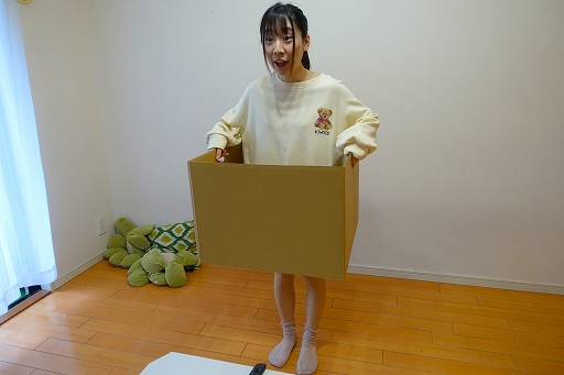 ���������꡼ No.003�Υ���ͥ������ / �ʥܡ���Ȣ�򥳥�ȥ�����Ȥ��ƻȤ��δ�������������Ȣ�����Υ֥롼���������ۿ����������餱������ʤ������ˤˤʤ꤭�굢����ܻؤ�