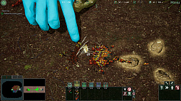 Empires of the Undergrowth ����ѥ��������֡��������������������