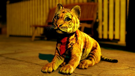 ꡼ No.025 | ζǡ Pirates in Hawaii׽פΤ餹䡤±󡦥ߥ鿷оʪξ±Хȥξܺ٤