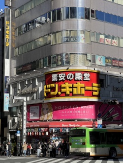 ���������꡼ No.017�Υ���ͥ������ / ��ζ��ǡ���ץե���ߡ��ƥ��󥰤�2ǯ�֤�˳��š���1���Ͽ��ɡ������Į�������⤭�ʤ��顤���å���ư���䵡�Τ���Ϫ�ܥĥ�����»�