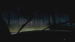 ���������꡼ No.002�Υ���ͥ������ / �۾���֤���æ�Ф��뤿��Υɥ饤�֡���;λ����Υ����ۥ顼�������Last mile�ס�Steam���ȥ��ڡ��������