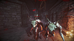 ꡼ No.004 | Second Sun