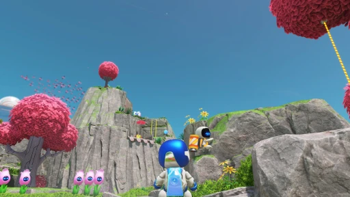 ꡼ No.008 | Υץ쥤ݡϤΡȥȥɤѥåפƵäƤξ⤯鴶롤PS5֥ȥܥåȡԥץå