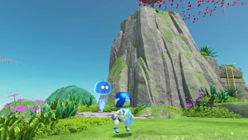 ꡼ No.013 | Υץ쥤ݡϤΡȥȥɤѥåפƵäƤξ⤯鴶롤PS5֥ȥܥåȡԥץå