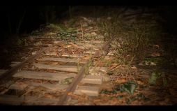 ²èÁü¥®¥ã¥é¥ê¡¼ No.008¤Î¥µ¥à¥Í¥¤¥ë²èÁü / ÇÑÔÒ¤ò¼«Í³¤Ëõº÷¤Ç¤¤ë¥â¡¼¥É¤â¼ýÏ¿¡£ÃϿޤˤʤ¤Â¼¤«¤é¤Îæ½Ð¤òÌܻؤ¹¥Û¥é¡¼¥²¡¼¥à¡ÖÌÄê±Â¼¡×¡¤8·î16Æü20¡§00¤Ë¥ê¥ê¡¼¥¹