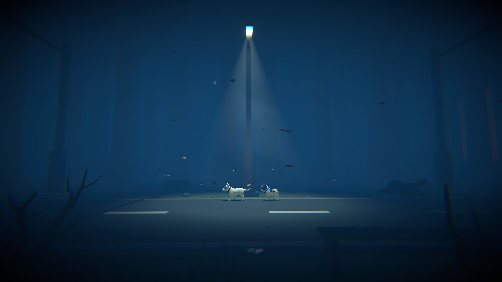 ꡼ No.004 | Ҹ2ɤߤõ붨Ϸۥ顼Haunted Pawsסȿܸ첻б