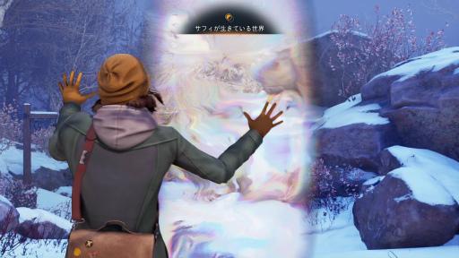 ꡼ No.019Υͥ / Υץ쥤ݡϡ֥饤  ȥ ֥륨ݡ㡼ס2ĤԤ褷ƻʪͽ¬ԲǽŸ