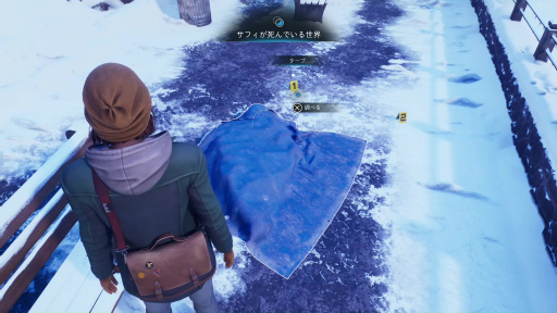 ꡼ No.021Υͥ / Υץ쥤ݡϡ֥饤  ȥ ֥륨ݡ㡼ס2ĤԤ褷ƻʪͽ¬ԲǽŸ