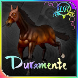 ꡼ No.009 | ֥åϥUNIVERSAL STALLIONס620˥꡼ꡣ꡼ǰ617»