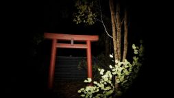 ���������꡼ No.003�Υ���ͥ������ / ��λ�������ˤ���8�ֽи��饤���Υۥ顼�������The 9th Station of M.t�ġס�6��15�����ۿ�