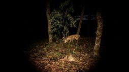 ���������꡼ No.004�Υ���ͥ������ / ��λ�������ˤ���8�ֽи��饤���Υۥ顼�������The 9th Station of M.t�ġס�6��15�����ۿ�