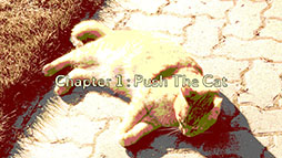 ���������꡼ No.008�Υ���ͥ������ / �ƥ����Ȥ�ư�����ƥͥ��򥴡���ޤ������Ϥ���ͥ������ѥ����Push The Cat with WASD�ס�Steam������ȯ��