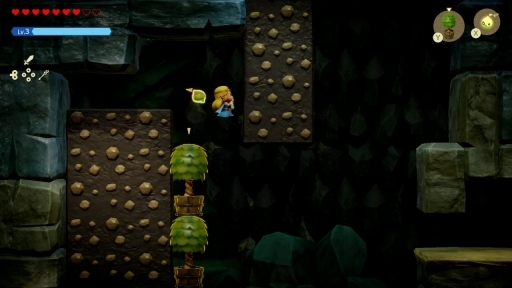 ���������꡼ No.011�Υ���ͥ������ / �ץ쥤����ۤ�����äƤ���֥���������� �ηäΤ����ΡפΥեȥ����ο�������ꥫ���Τγڤ�����̣�臘������ηäȹ��פ�Ť餷��ͷ�Ӥ���