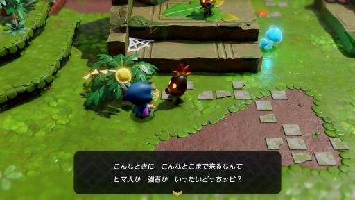 ���������꡼ No.015�Υ���ͥ������ / �ץ쥤����ۤ�����äƤ���֥���������� �ηäΤ����ΡפΥեȥ����ο�������ꥫ���Τγڤ�����̣�臘������ηäȹ��פ�Ť餷��ͷ�Ӥ���