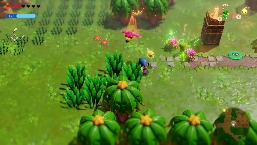 ���������꡼ No.017�Υ���ͥ������ / �ץ쥤����ۤ�����äƤ���֥���������� �ηäΤ����ΡפΥեȥ����ο�������ꥫ���Τγڤ�����̣�臘������ηäȹ��פ�Ť餷��ͷ�Ӥ���