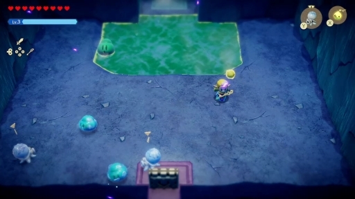 ���������꡼ No.020�Υ���ͥ������ / �ץ쥤����ۤ�����äƤ���֥���������� �ηäΤ����ΡפΥեȥ����ο�������ꥫ���Τγڤ�����̣�臘������ηäȹ��פ�Ť餷��ͷ�Ӥ���